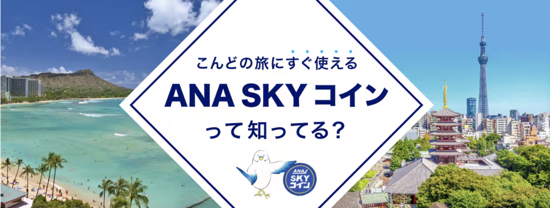 ANA SKY コインのアイキャッチ画像