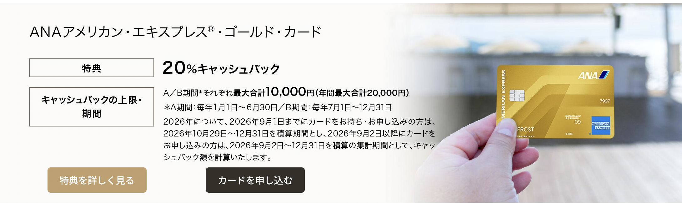ANAアメックスゴールドカードのポケットコンシェルジュ特典