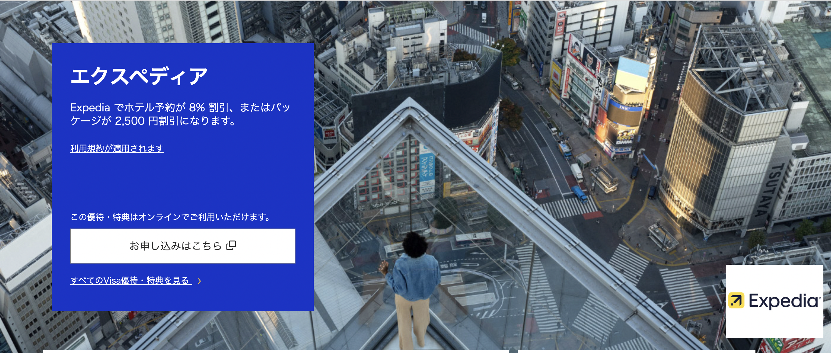 Visa会員限定のクーポン
